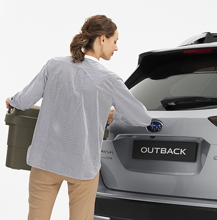 <p>Subaru All New Outback</p>